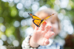 Butterfly Release Family Photos {Hamilton, NJ Photographer}